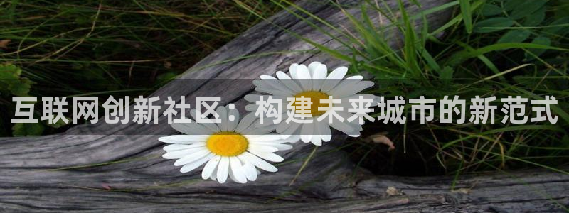 先锋电子旗下先锋娱乐