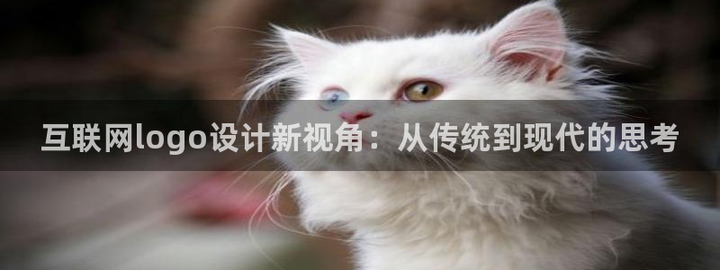 先锋 娱乐