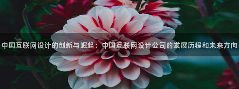 先锋娱乐链接