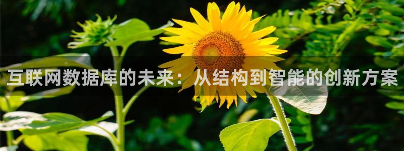 先锋娱乐官方