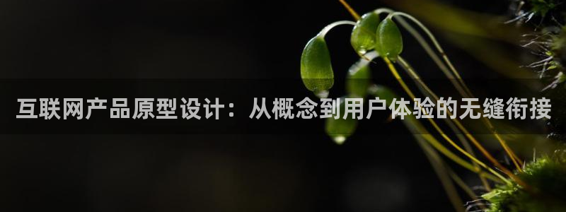 先锋娱乐电话