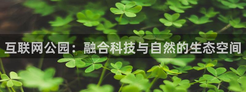 先锋娱乐理财logo