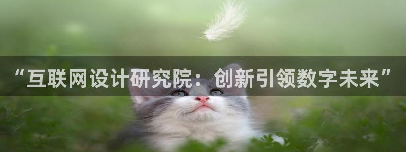 先锋队娱乐：“互联网设计研究院