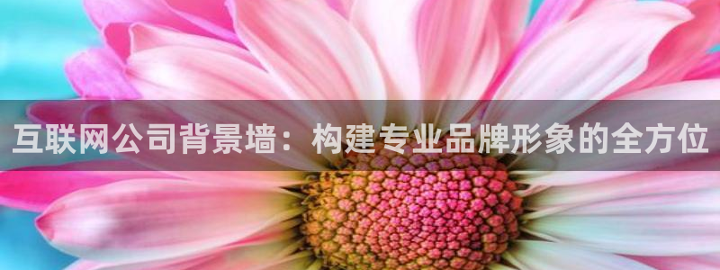 先锋娱乐挂：互联网公司背景墙：