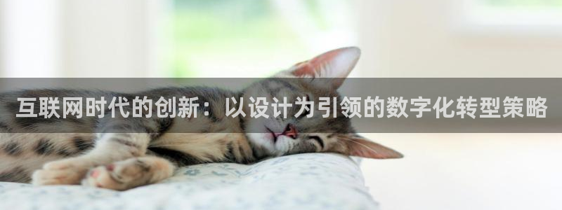 先锋娱乐俱乐部：互联网时代的创
