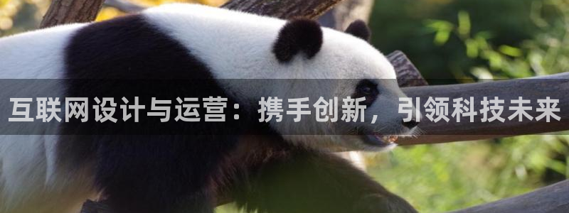 娱乐急先锋全集下载：互联网设计