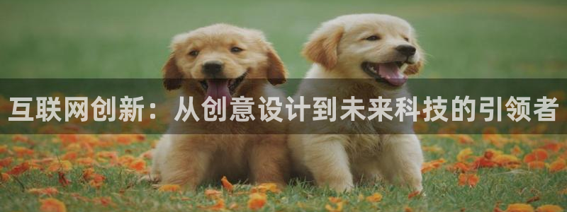 先锋娱乐邀请码多少