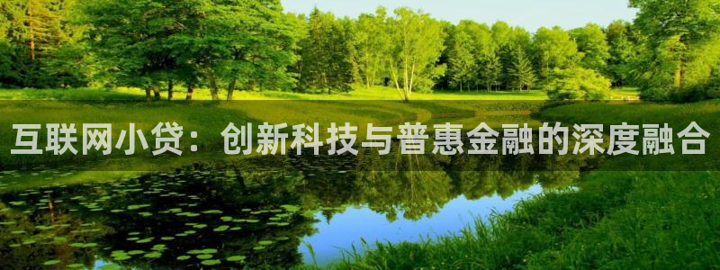 先锋银河娱乐：互联网小贷：创新