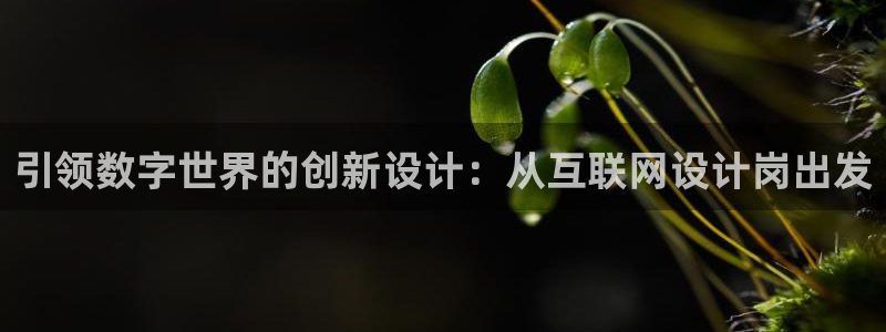 先锋娱乐汇
