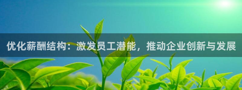 大连先锋娱乐：优化薪酬结构：激