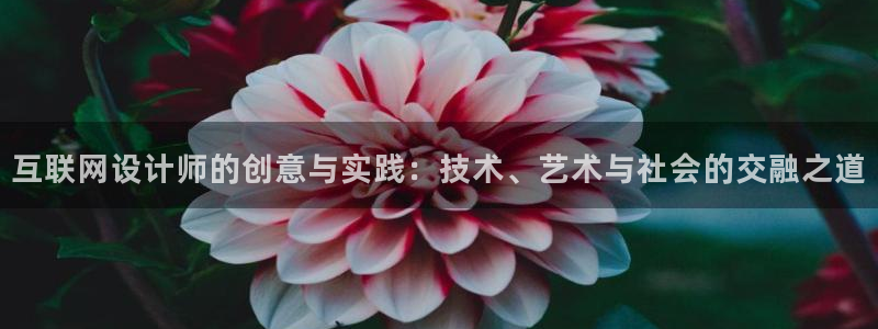 先锋澳门新娱乐