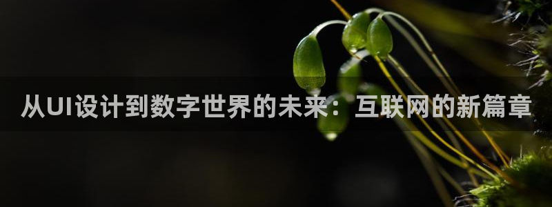 先锋娱乐大厅平台：从UI设计到