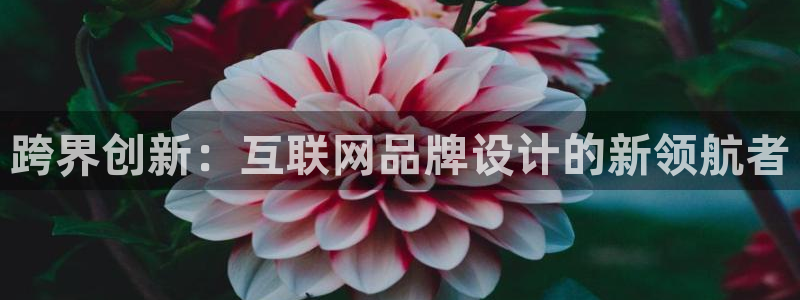 先锋娱乐理财