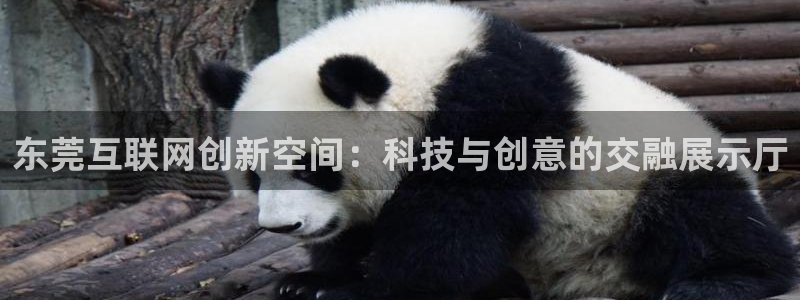 先锋娱乐社