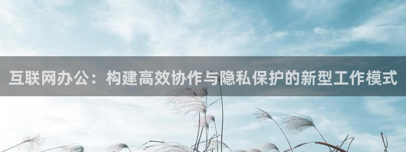 先锋娱乐在哪下载：互联网办公：