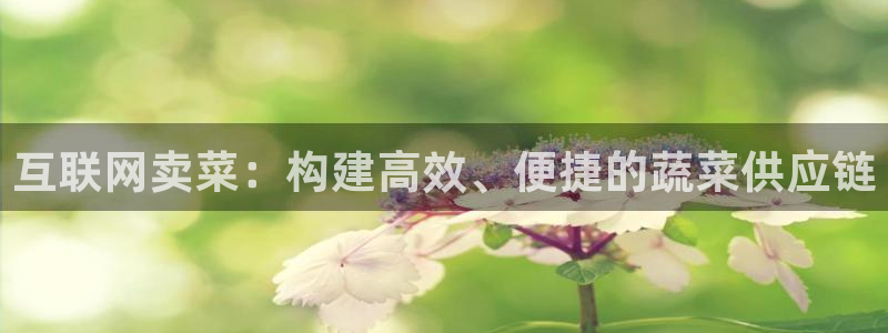 先锋队娱乐：互联网卖菜：构建高