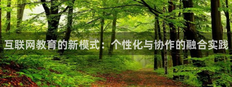 先锋娱乐大厅透视：互联网教育的
