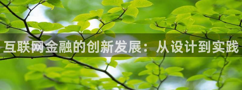先锋娱乐简介图片：互联网金融的