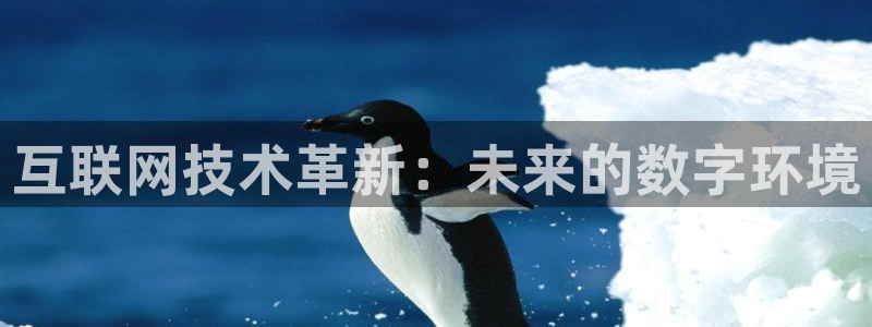 先锋娱乐管理集团怎么样：互联网