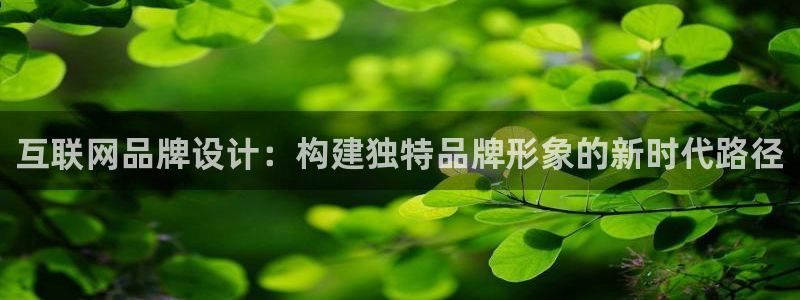 先锋娱乐快讯：互联网品牌设计：