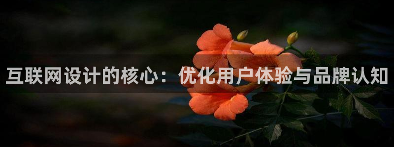 网上炸金花先锋娱乐：互联网设计
