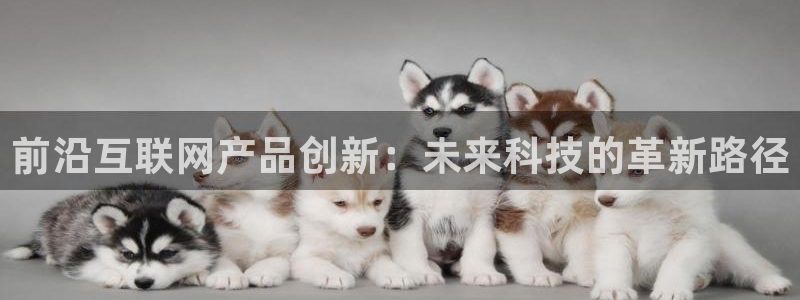 先锋娱乐体育管理集团：前沿互联