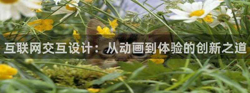 吉林先锋娱乐