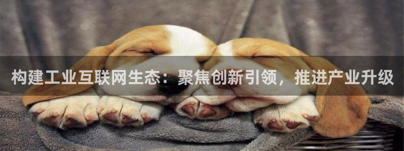 先锋娱乐俱乐部