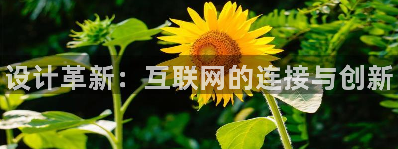 先锋娱乐管理集团招聘