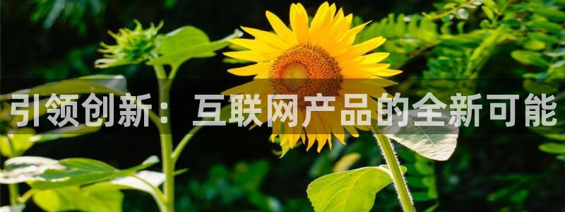 先锋娱乐扑克