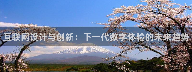 先锋电子车载娱乐系统