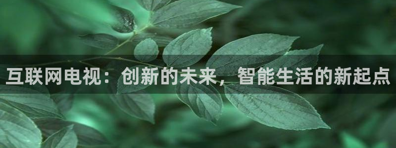 先锋娱乐大厅透视：互联网电视：
