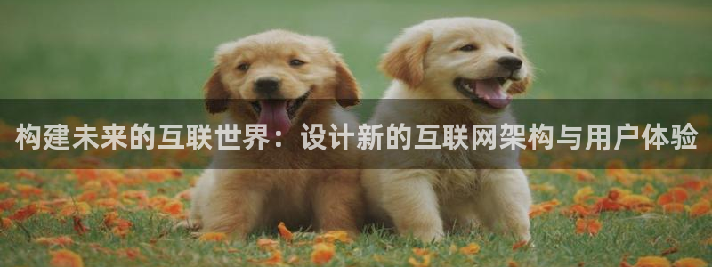 先锋娱乐币