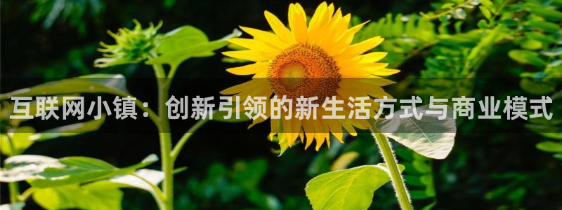 先锋娱乐大厅透视：互联网小镇：