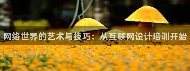 亚洲先锋娱乐登录：网络世界的艺