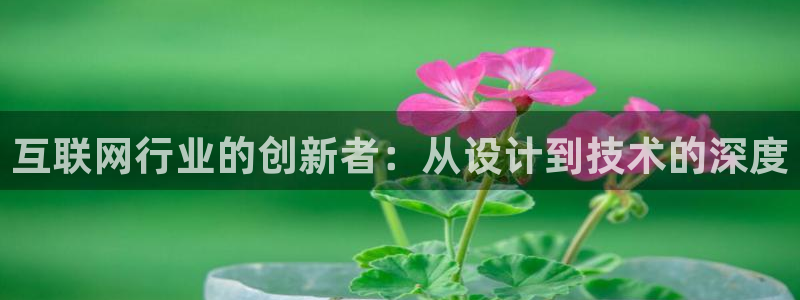 先锋娱乐垫付金额