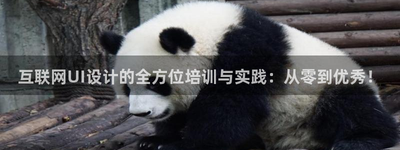 先锋娱乐体育管理集团