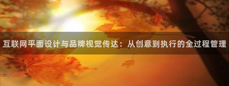 先锋电子旗下先锋娱乐：互联网平