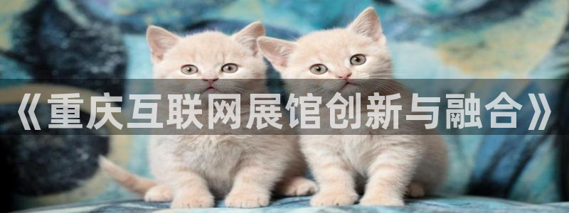 先锋岛娱乐：《重庆互联网展馆创