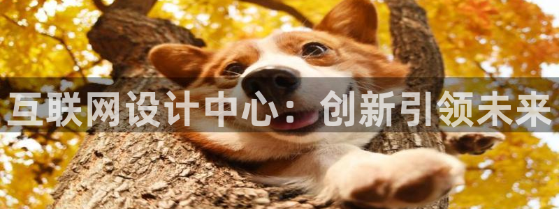 先锋娱乐管理集团：互联网设计中