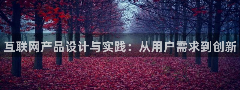 先锋娱乐大厅牛牛：互联网产品设