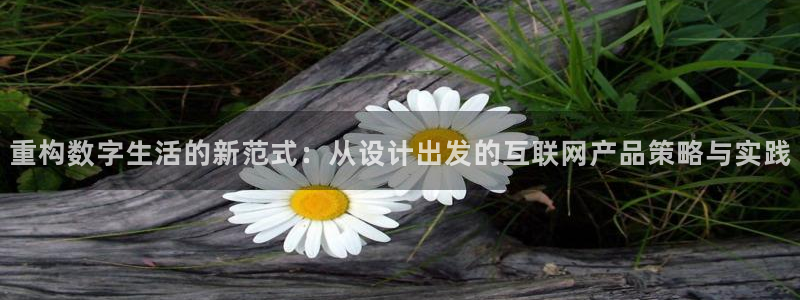 先锋岛娱乐：重构数字生活的新范