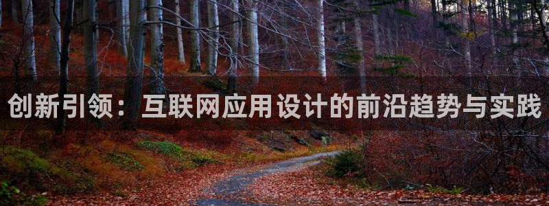 先锋银河娱乐：创新引领：互联网