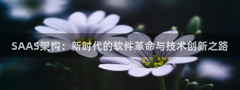 先锋娱乐资讯：SAAS架构：新